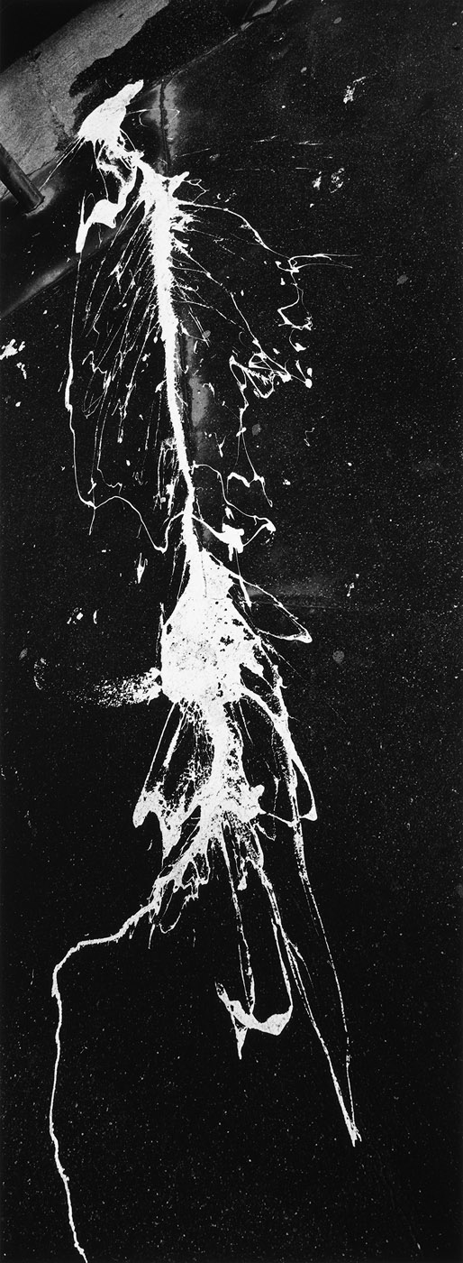 07-002___3484-31